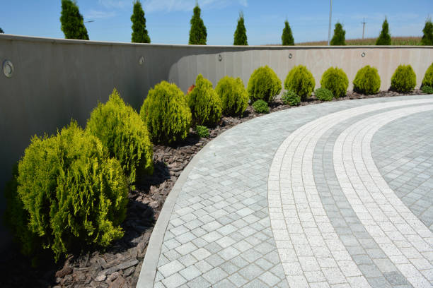 Best Decorative Driveway Pavers  in Negaunee, MI